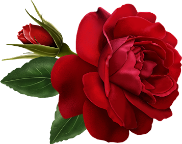 357x283 Red Rose With Bud Painted Clipart Clipart Rose