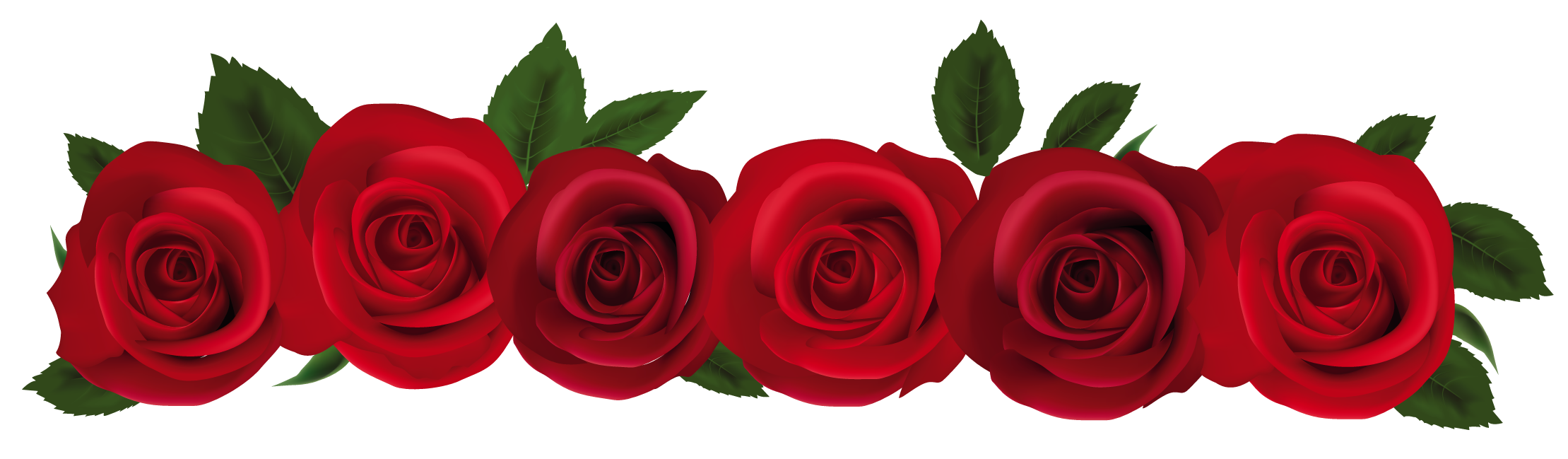 2219x649 Red Rose Clip Art