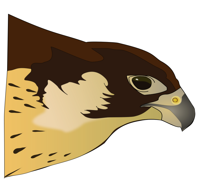 800x793 Hawk Clip Art Free 3