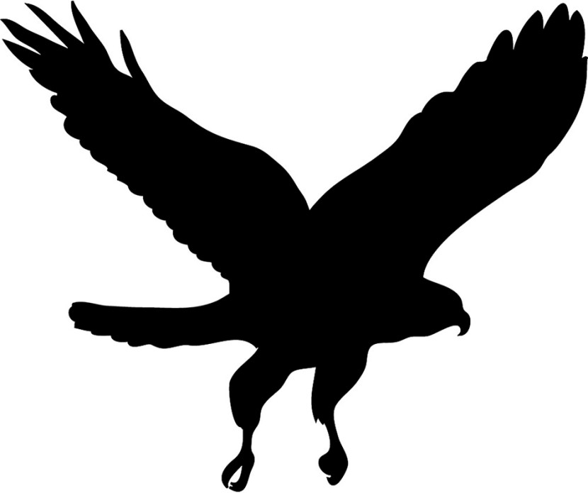 830x695 Hawk Clip Art Free Wikiclipart
