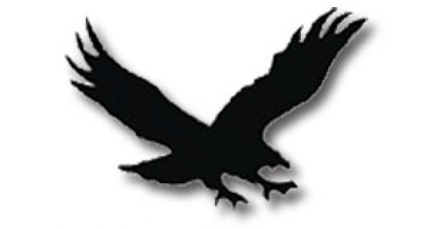 620x330 Hawk Clipart 4