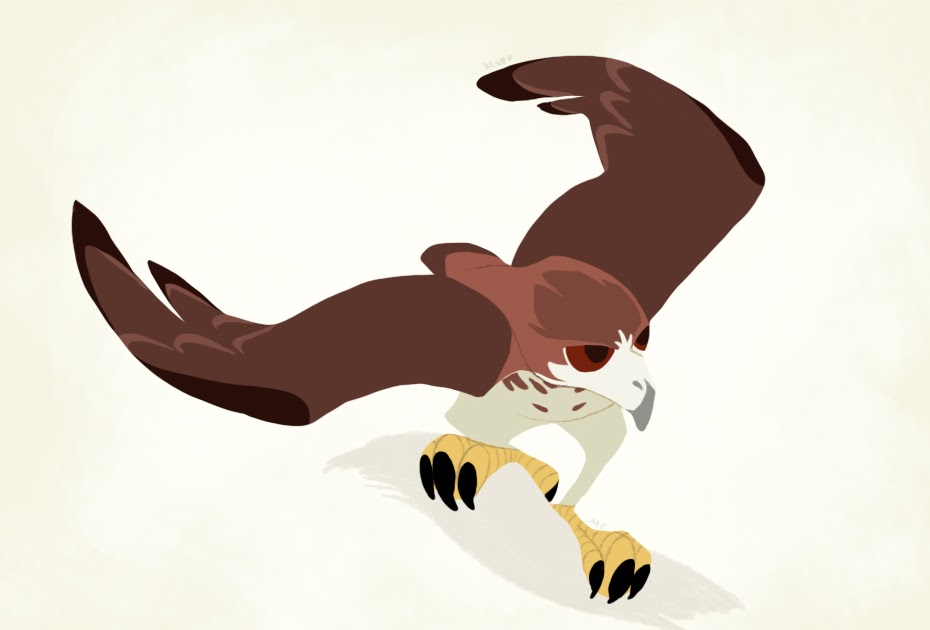 930x630 Red Tailed Hawk Clipart Animated