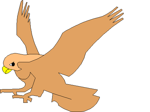 489x367 Red Tailed Hawk Clipart Cute