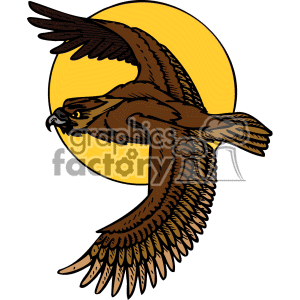 300x300 Hawk Clip Art