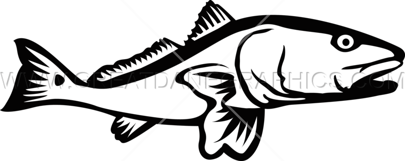 Redfish Clipart | Free download on ClipArtMag