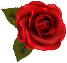 236x222 Crystal Red Rose Transparent Png Clip Art Image