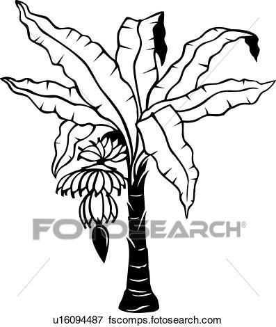 397x470 Clip Art Of , Banana, Tree, Tropical, Varieties, U16094487