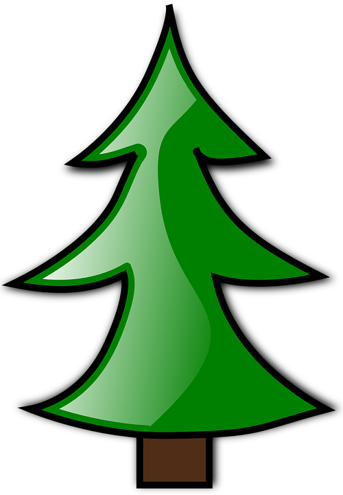 500x720 Fir Tree Clipart Redwood Tree