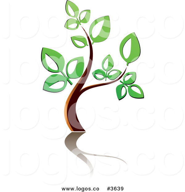 600x620 Royalty Free Tree And Reflection Logo By Vector Tradition Sm