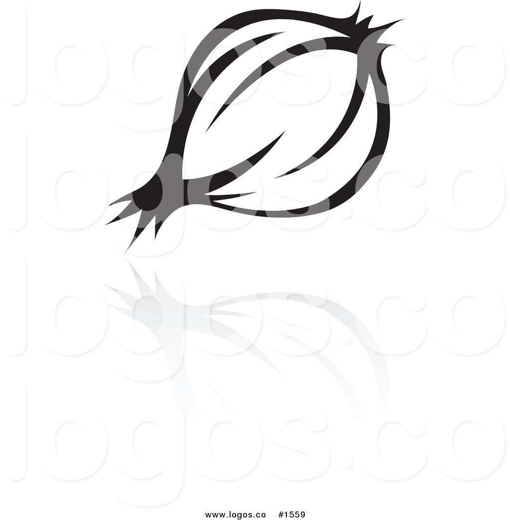 1024x1044 Royalty Free Vector Black And White Onion And Reflection Logo By