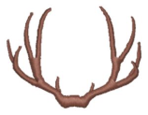 300x233 Antler Clipart Deer Rack