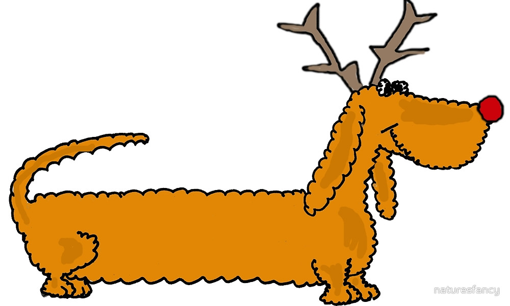 1000x599 Funny Dachshund Dog With Reindeer Antlers Art By Naturesfancy