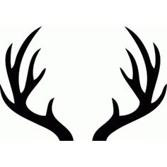 236x236 Wide Antlers Cliparts 275337
