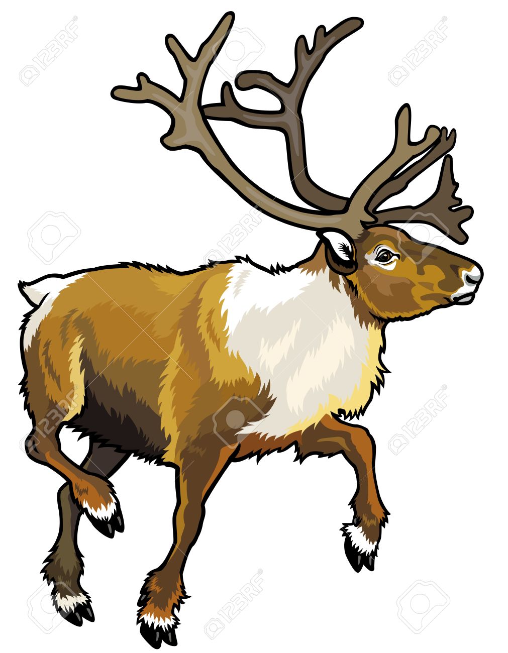 1011x1300 Top 94 Caribou Clip Art
