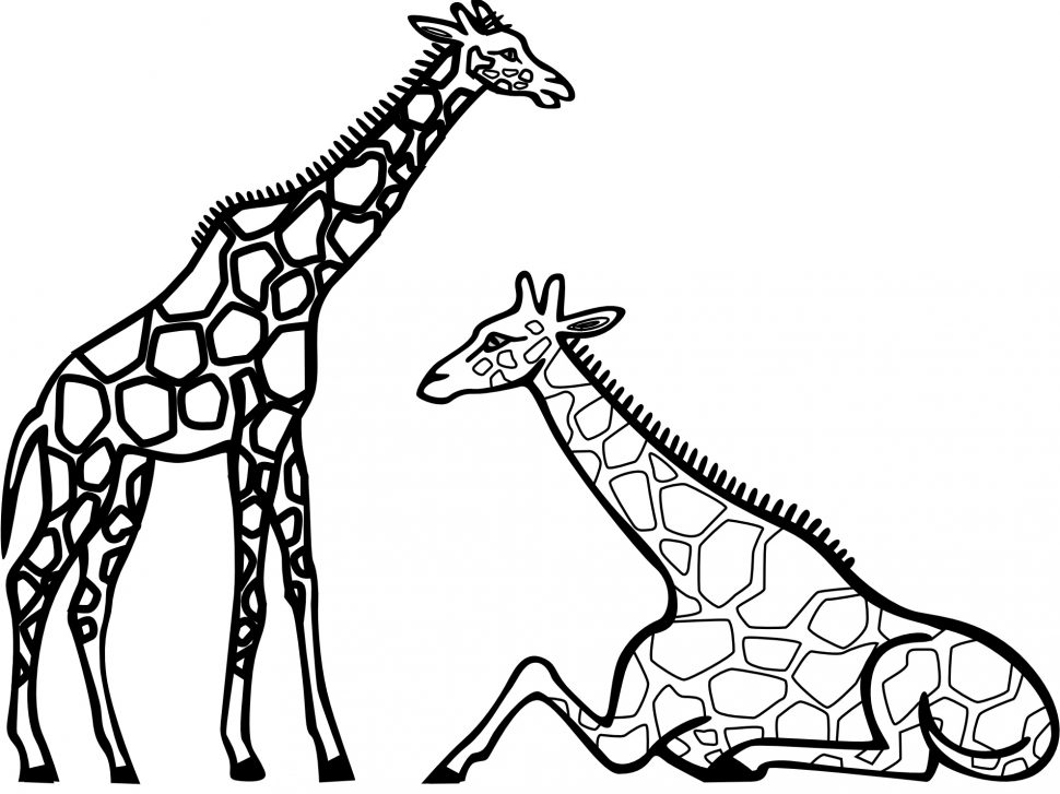 970x727 Coloring Pages Giraffe Coloring Pages Relaxing Giraffe Coloring