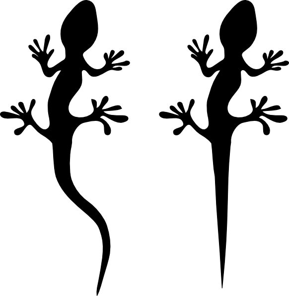 582x595 Lizards Clip Art