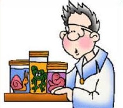 244x214 Clipart Biology