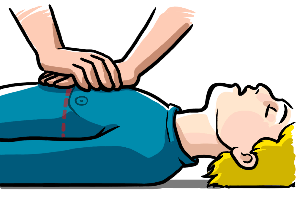 1000x678 David Cochard