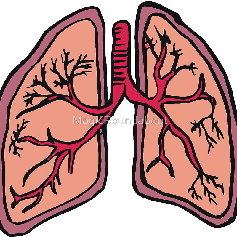 800x800 Funny Cartoon Lungs