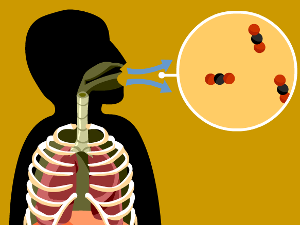 583x438 What Is Cellular Respiration