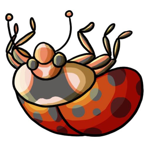 500x500 47 Best R's Book Images Caterpillar, Bee And Art