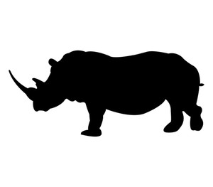 300x263 Cute Rhino On White Background Illustration Royalty Free Stock