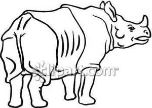 300x213 Black And White Rhinoceros