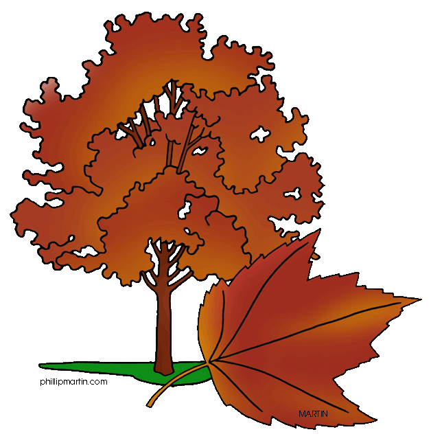 628x648 Christmas Tree Clip Art Rhode Island Best Template Collection