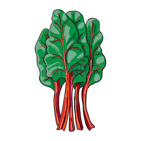450x450 Rhubarb Clipart