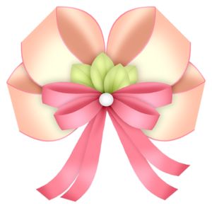 300x294 87 Best Ribbon Bows Images Button, Pictures