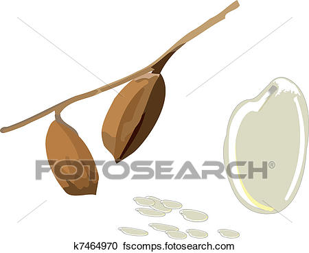 450x369 Clipart Of Rice Plant K7464970