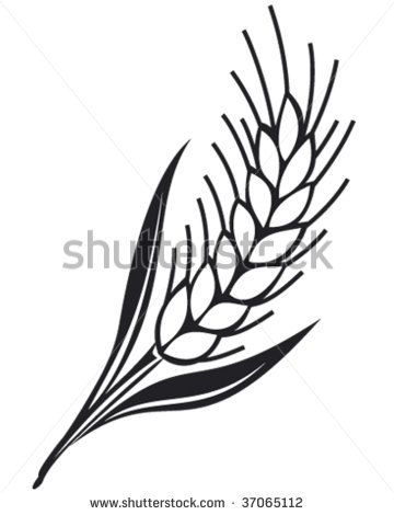 360x470 Grains Rice Clipart