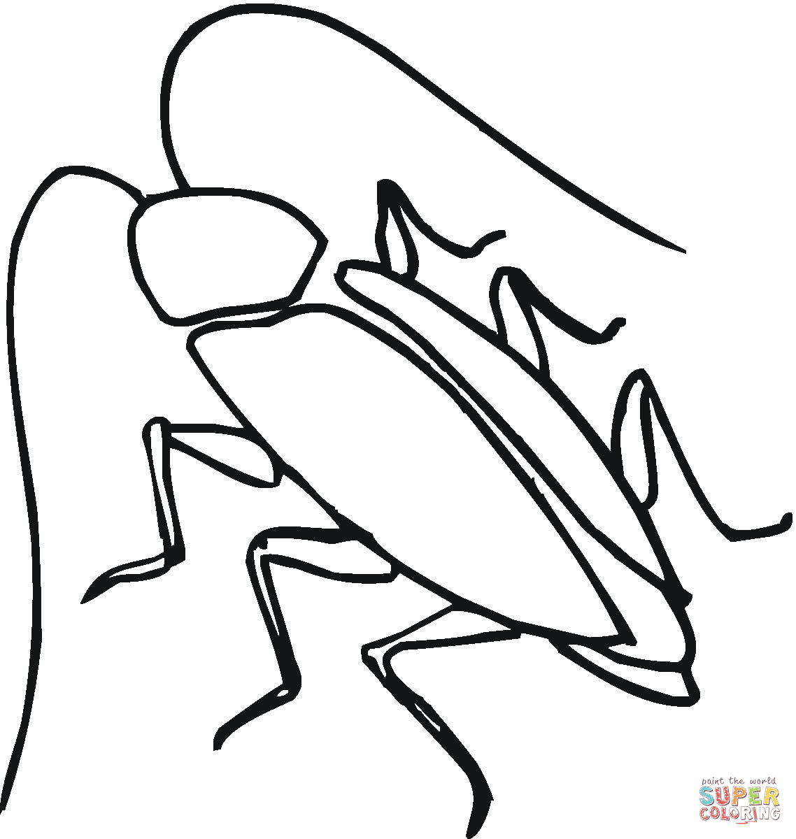 1138x1200 Cockroach Coloring Pages Free Coloring Pages Clip Art