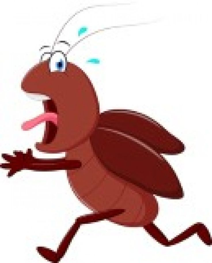 736x911 Cockroaches Tomb Clipart