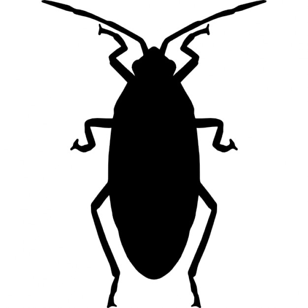 626x626 Roach Icons Free Download