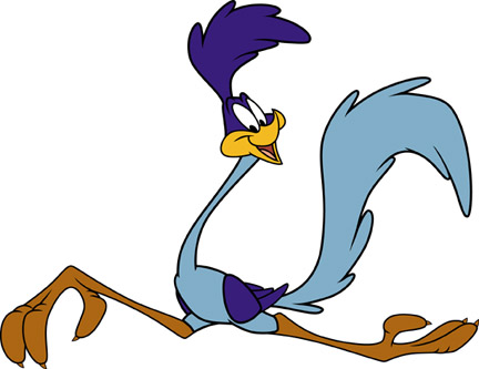 432x333 The Roadrunner Road Runner, Cartoon And Looney Tunes