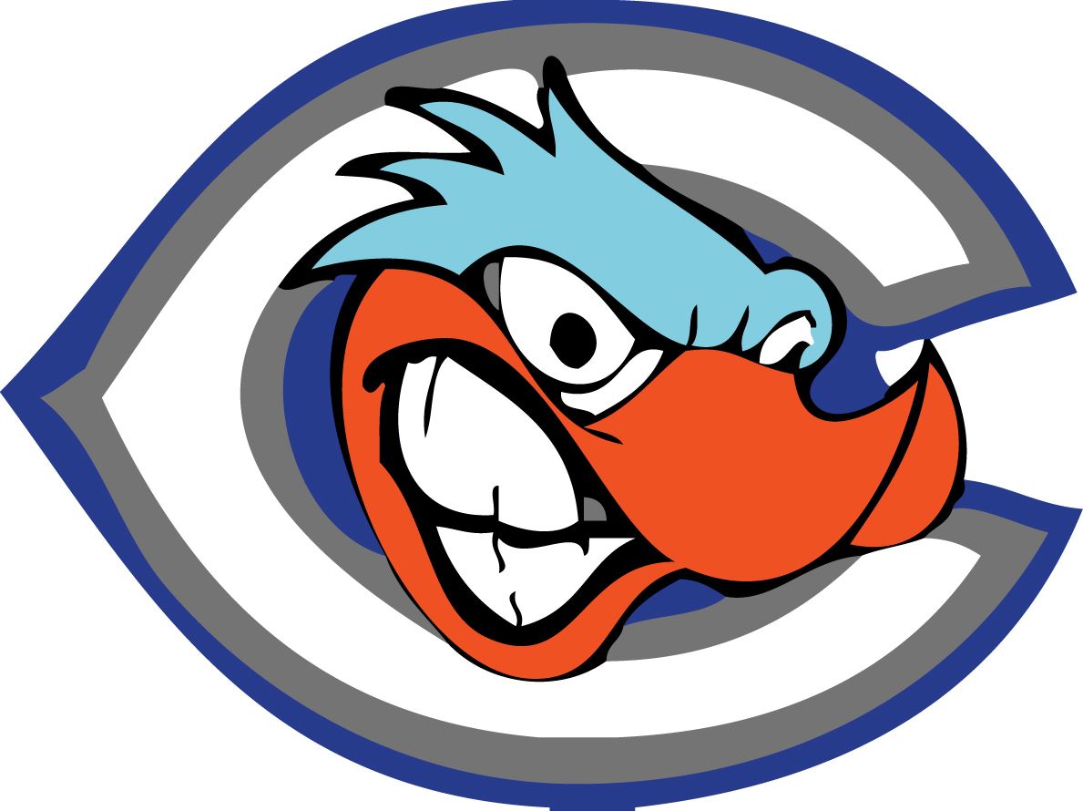 1189x890 Camarillo Roadrunners Senior Blue