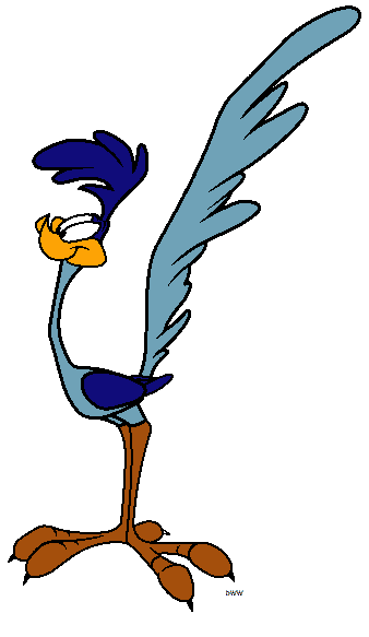 338x583 Road Runner Cartoon And Clipart