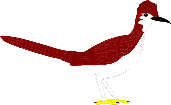 600x370 Roadrunner Clip Art