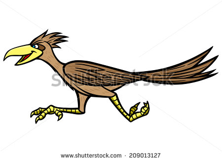 450x326 Roadrunner Clipart Bird
