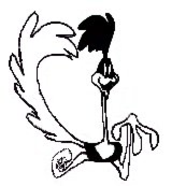 555x600 Bird Free Images