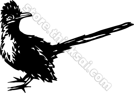 Roadrunner Bird Clipart | Free download on ClipArtMag