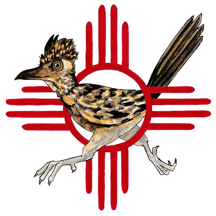 750x750 Illustration Daily Roadrunner K. Atkins Art