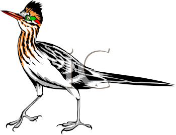 350x269 Roadrunner Clipart Free Clipart Panda