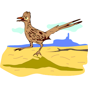 300x300 Roadrunner Clipart 6