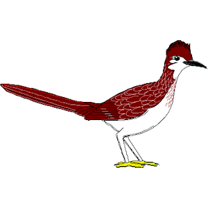 300x300 Best Roadrunner Clipart
