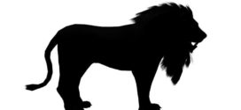 272x125 Lions Silhouette Cliparts Free Download Clip Art Free Clip Art