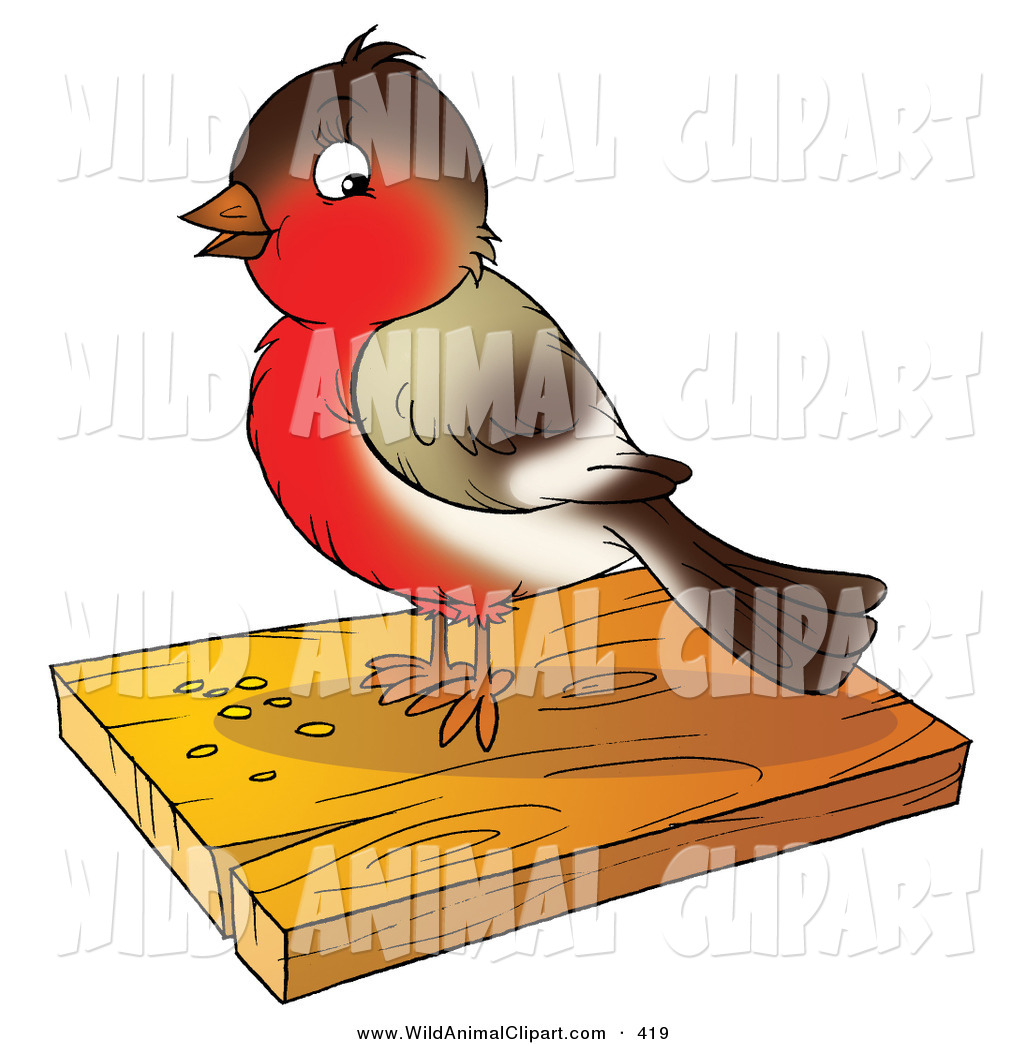 1024x1044 Cliprt Of Cute Brownnd Red Robin Bird Eating Seed On