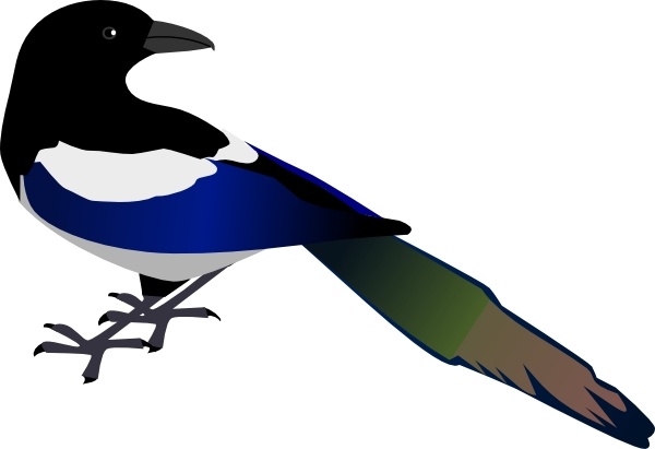 600x411 Vector Magpie Robin Free Vector Download (29 Free Vector)