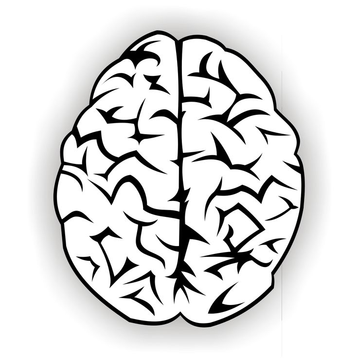 736x736 Brain Outline Clipart Black And White Forward